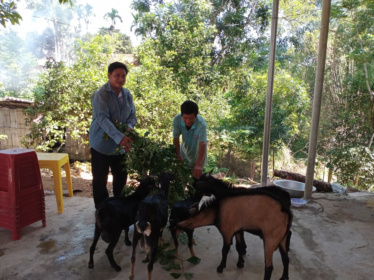Nông dân trẻ Hrê với khát vọng làm giàu