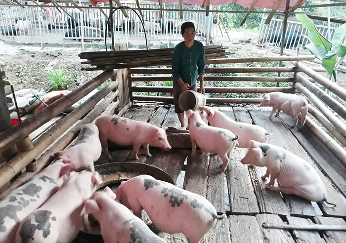 Tạo sinh kế giúp hộ nghèo vươn lên