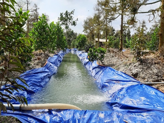 Đồng bằng Sông Cửu Long cần chủ động trữ nước ngọt dự phòng cho mùa khô