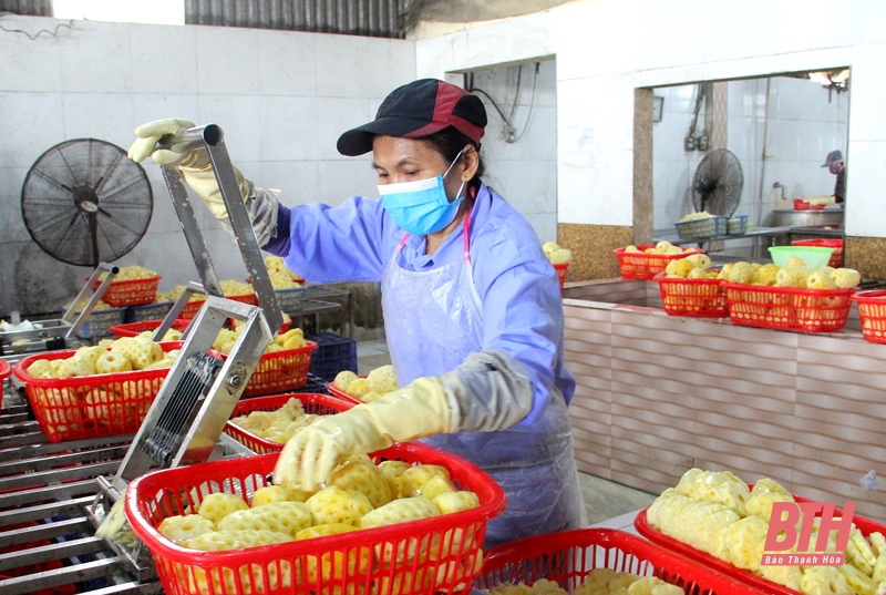 Thanh Hóa có thêm 38 sản phẩm được xếp hạng OCOP