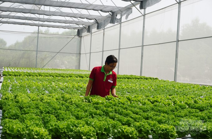 Thanh Hóa, kỳ vọng phát triển khu công nghiệp dược phẩm tại Bỉm Sơn