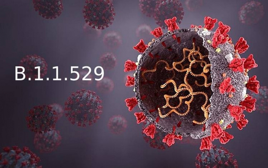 Thế giới tuần qua Quan ngại biến thể mới của virus SARS-CoV-2