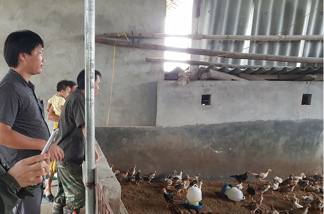 Thúc đẩy phát triển kinh tế tuần hoàn trong chăn nuôi trên địa bàn TP Hà Nội