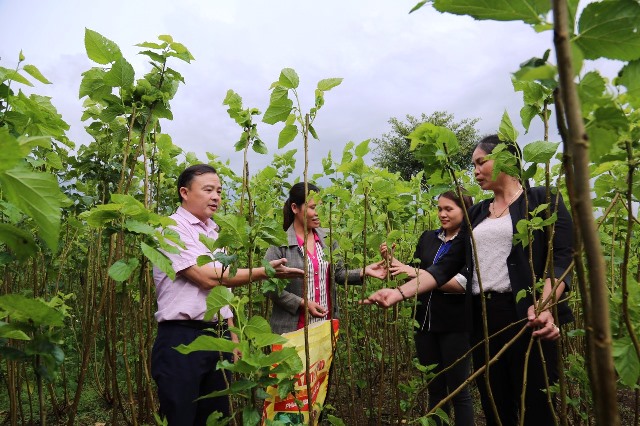 Vốn tín dụng chính sách và sức sống mới ở Nam Tây Nguyên