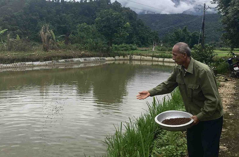Vững vàng trên “trận tuyến” mới