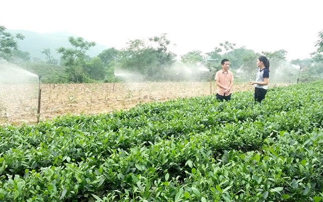 Nông dân và công nghệ số