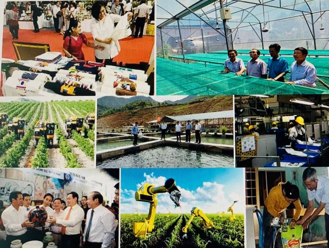 Tiếp tục khẳng định hiệu quả kinh tế tập thể trong lĩnh vực phi nông nghiệp