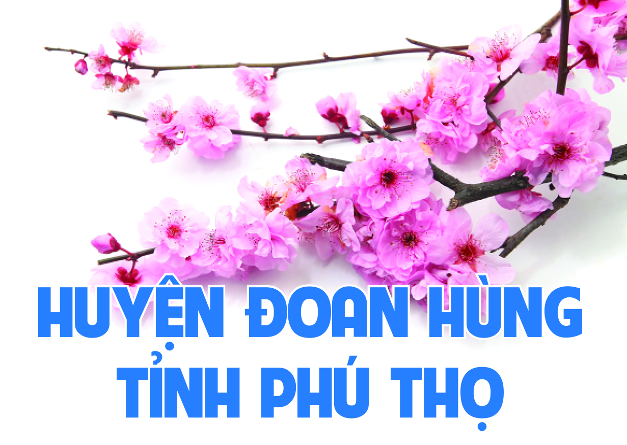 Chào mừng Năm mới 2022