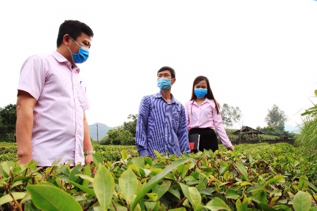 Ngân hàng chính sách xã hội Sơn La Dồn sức, toàn tâm giúp dân giảm nghèo