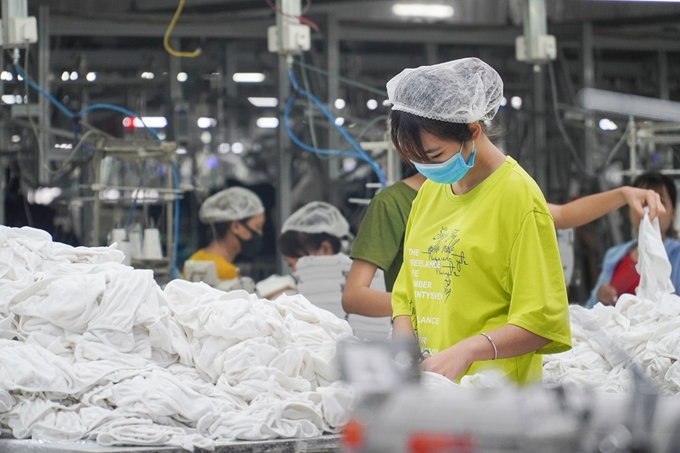 Hỗ trợ dự báo và giải quyết nhu cầu kỹ năng trong ngành dệt may