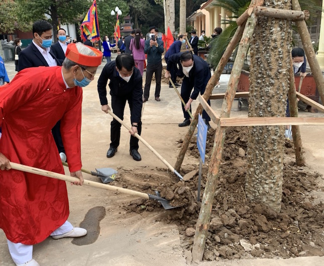 Trồng trên 1 200 cây mộc miên tại suối Yến, chùa Hương