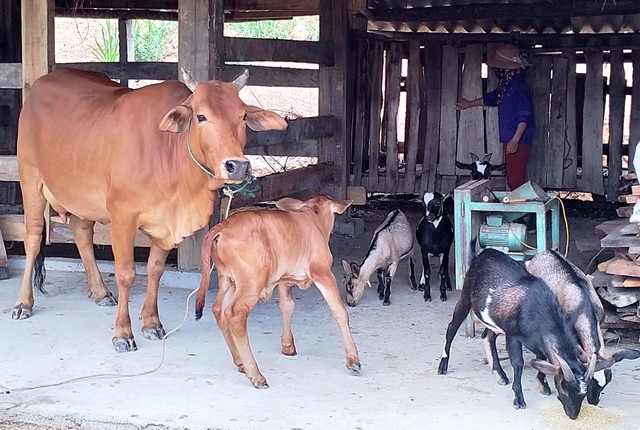 Về nơi khởi đầu con đường Hồ Chí Minh lịch sử