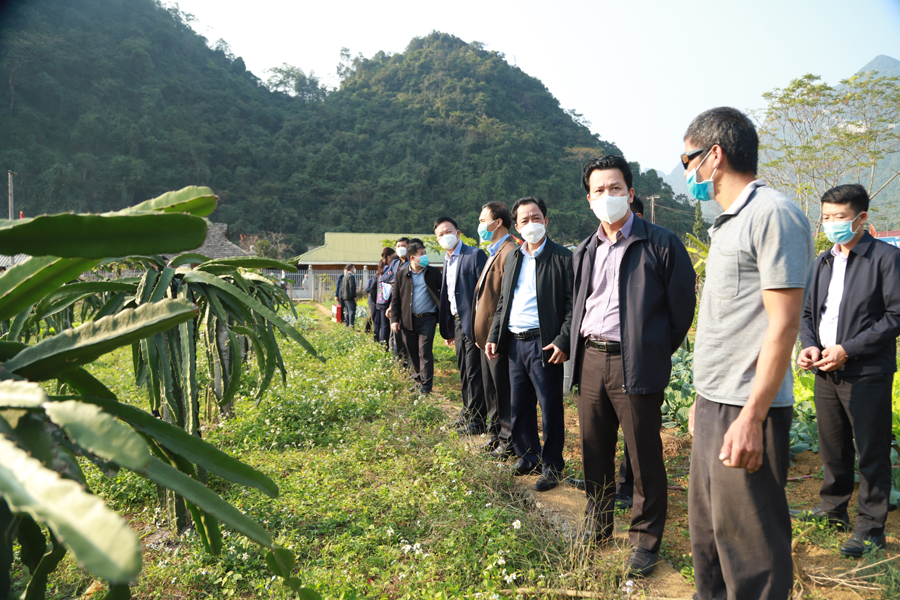 Vị Xuyên Nhân rộng những mô hình cải tạo vườn tạp tiêu biểu