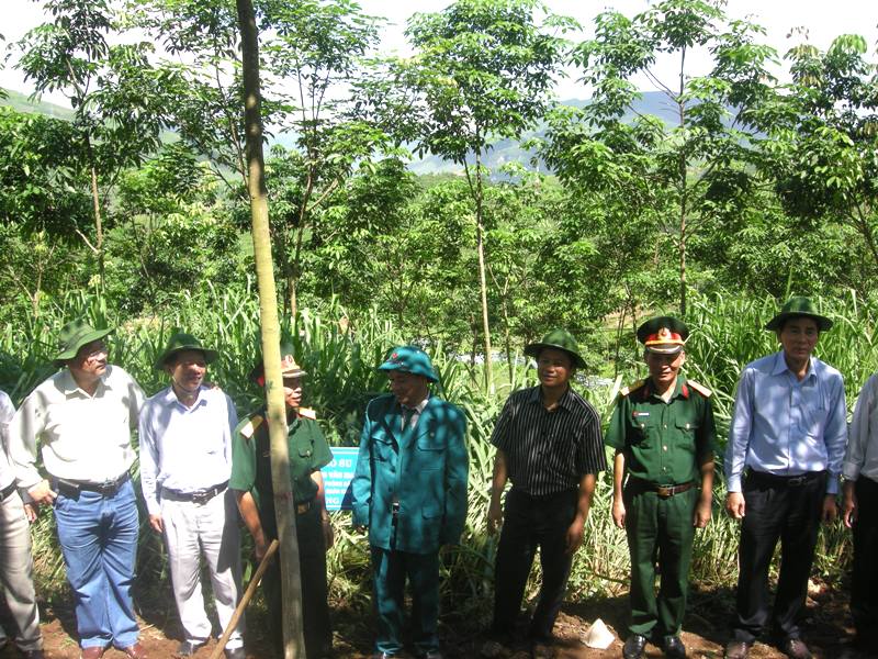 Cựu chiến binh thi đua làm kinh tế giỏi