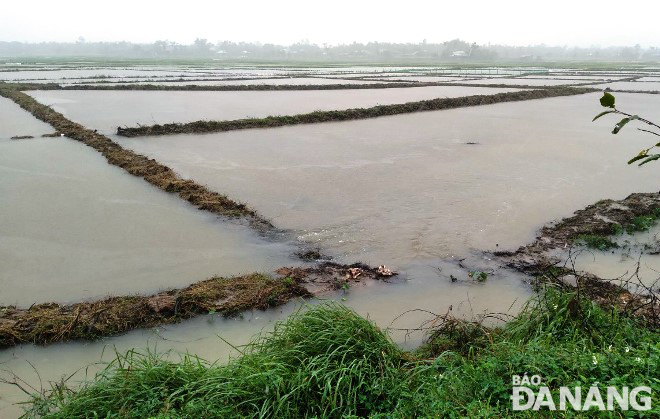 Mưa lũ gây thiệt hại tại miền Trung, có nơi phải sơ tán dân