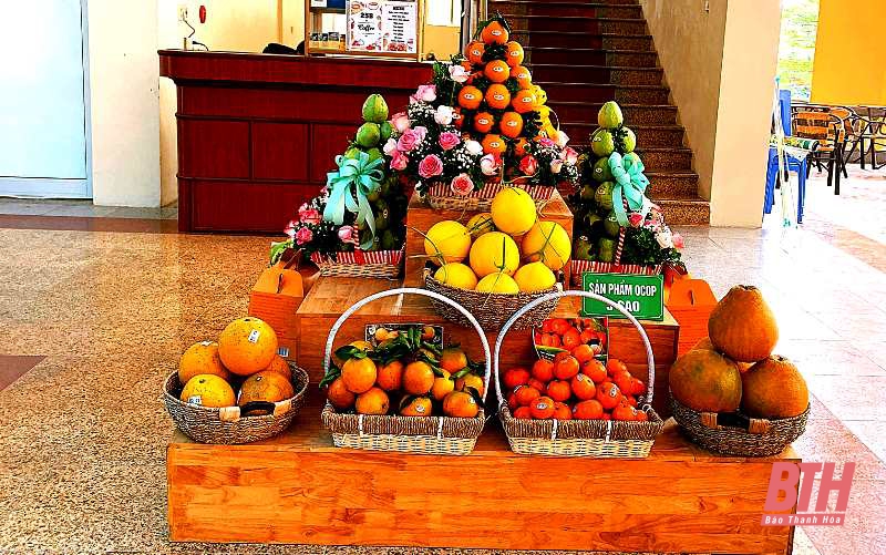 Thanh Hóa Quảng bá, xúc tiến thương mại sản phẩm OCOP