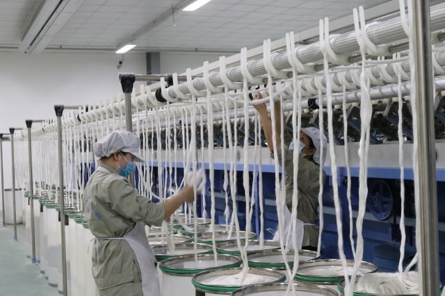 Mức xử phạt hành vi kê khai sai vốn điều lệ