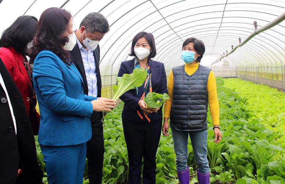 Đan Phượng tích hợp xây dựng nông thôn mới kiểu mẫu với tiêu chí của đô thị