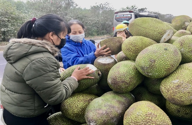 Tránh “bỏ hết trứng vào một giỏ”