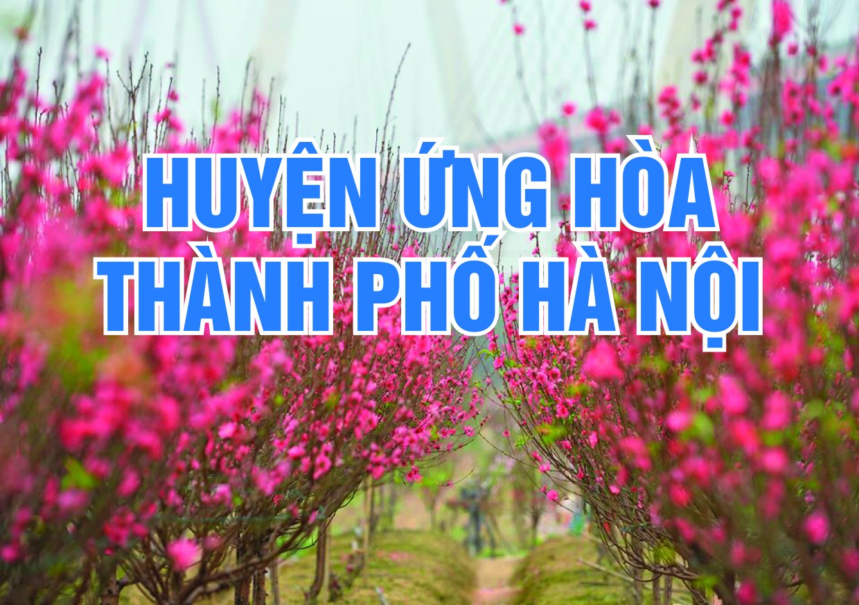 Chúc mừng năm mới 2022