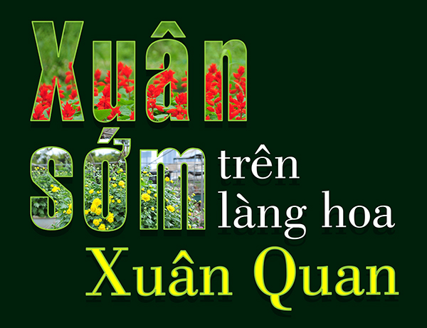 Megastory - Xuân sớm trên làng hoa Xuân Quan