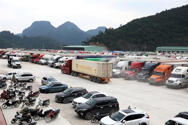 Lạng Sơn dừng tiếp nhận phương tiện chở hoa quả đến cửa khẩu từ 17 1