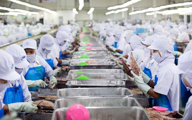 Tổng điều tra kinh tế năm 2021 Số lượng và lao động của các đơn vị điều tra