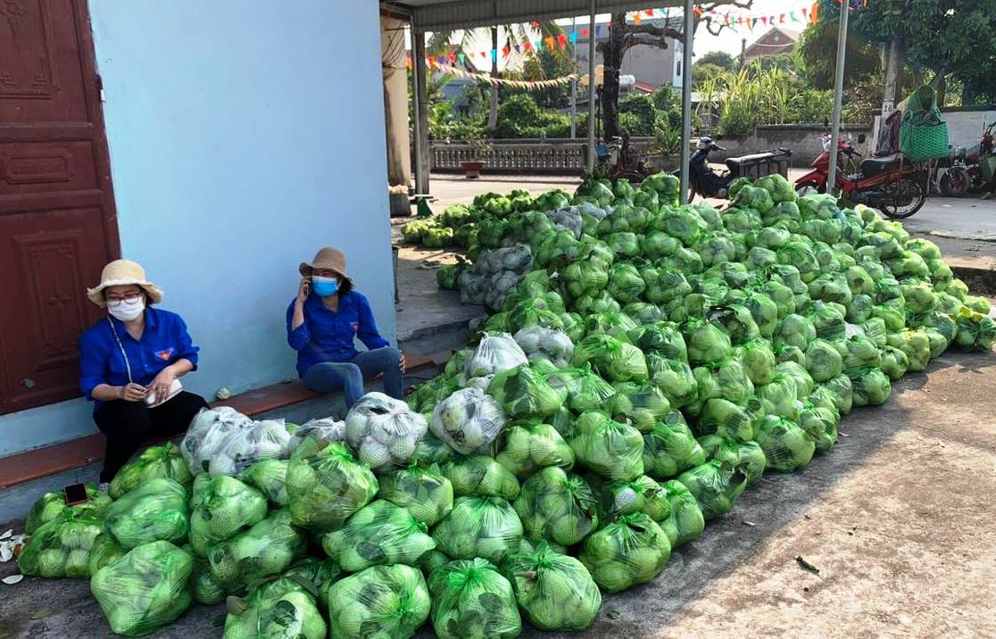 Quản trị chất lượng từ gốc là yếu tố “then chốt” giúp nông sản dễ tiêu thụ hơn
