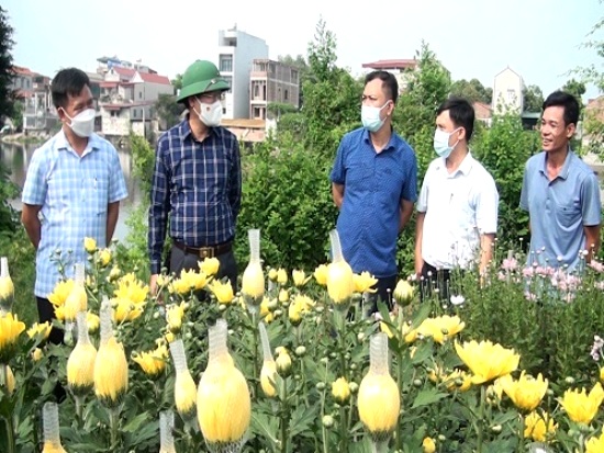 Bình Lục chú trọng công tác xây dựng Đảng, chính quyền