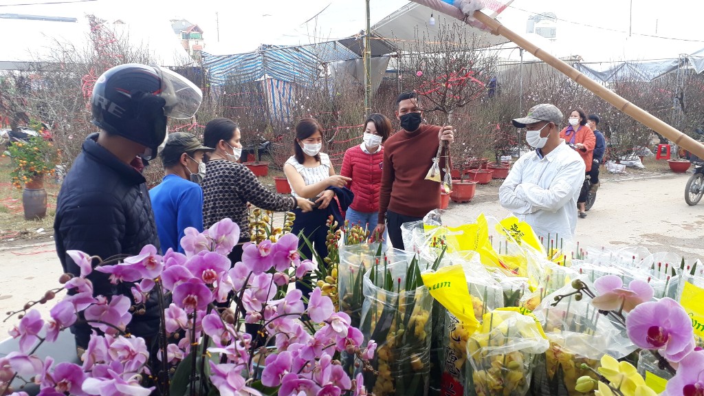 Phủ Lý ngập tràn sắc Xuân