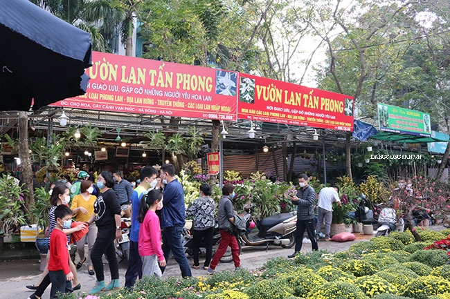 Chợ hoa xuân Vạn Phúc tăng lượng khách mua sắm