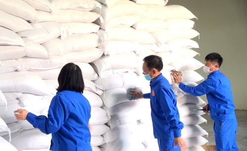Xuất cấp gần 190 tấn hạt giống hỗ trợ Hà Nam và Quảng Trị