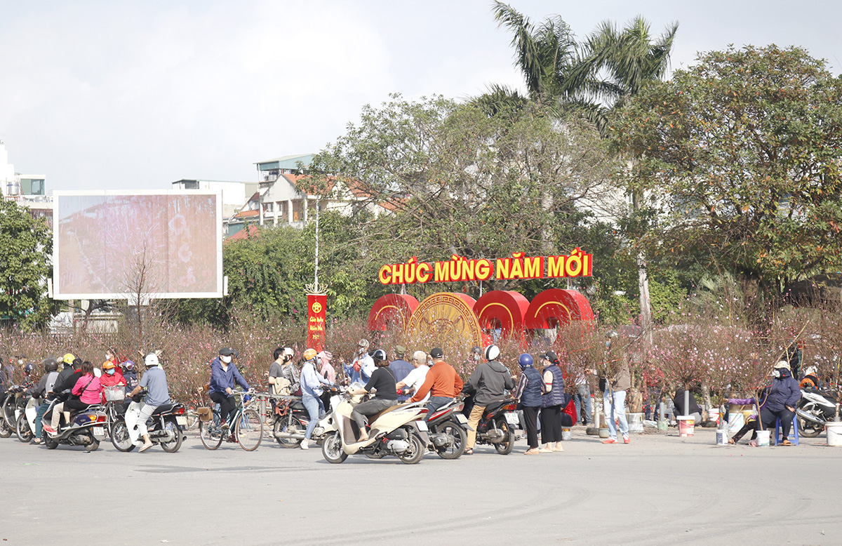 Sắc xuân rộn ràng trên các chợ hoa Hà Nội