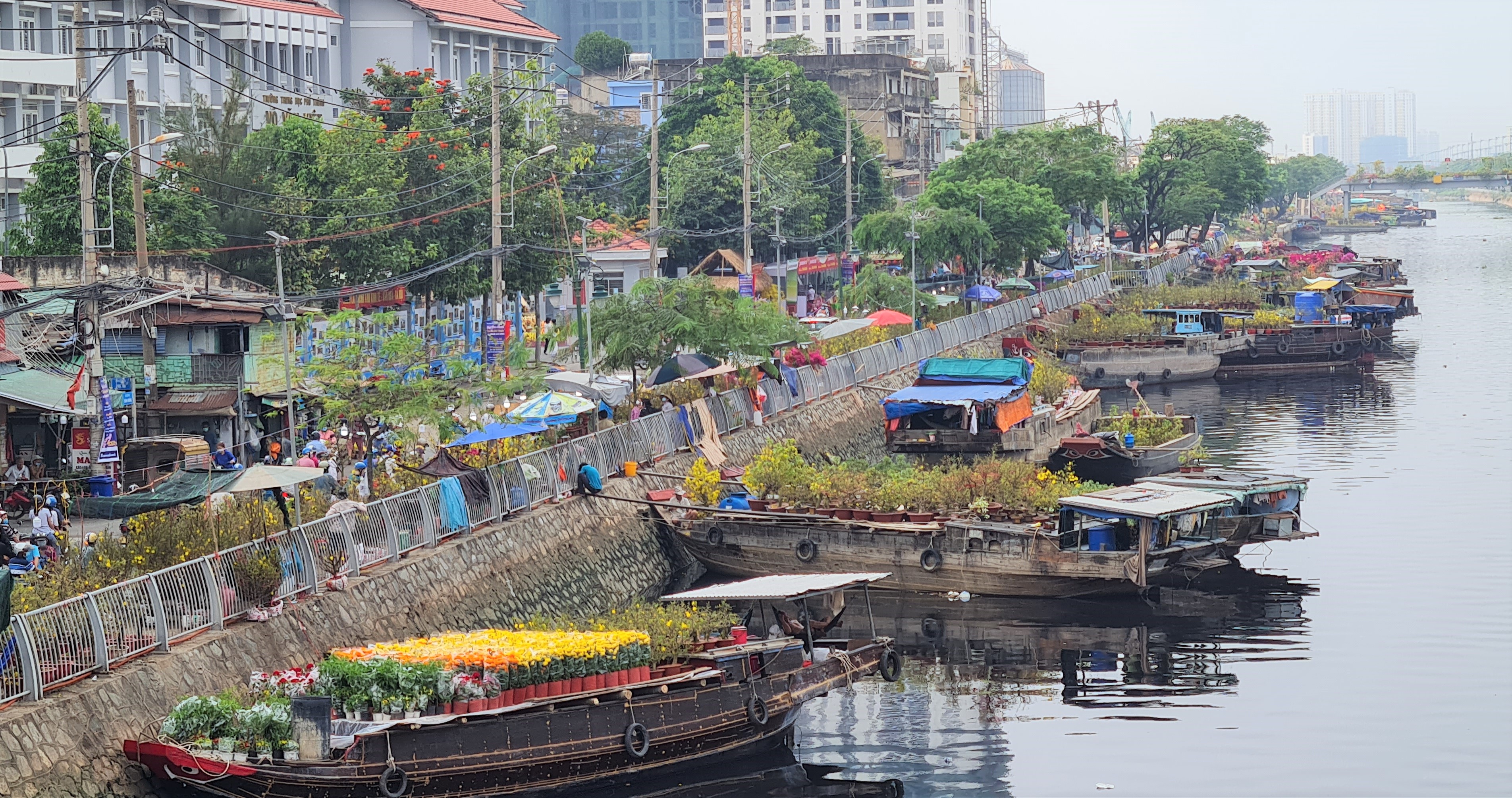 Nhộn nhịp chợ hoa Trên bến dưới thuyền