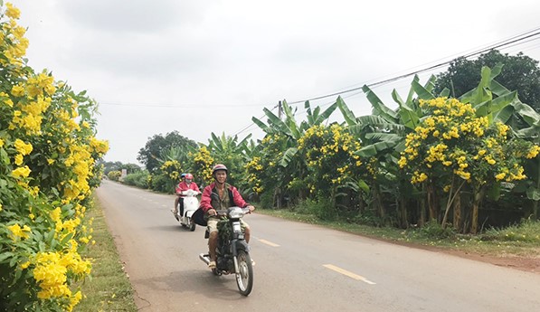 Đồng Nai tiếp tục đầu tư xây dựng nông thôn mới