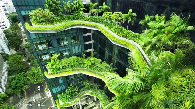 Xu hướng mới cho các nhà đầu tư với bất động sản xanh