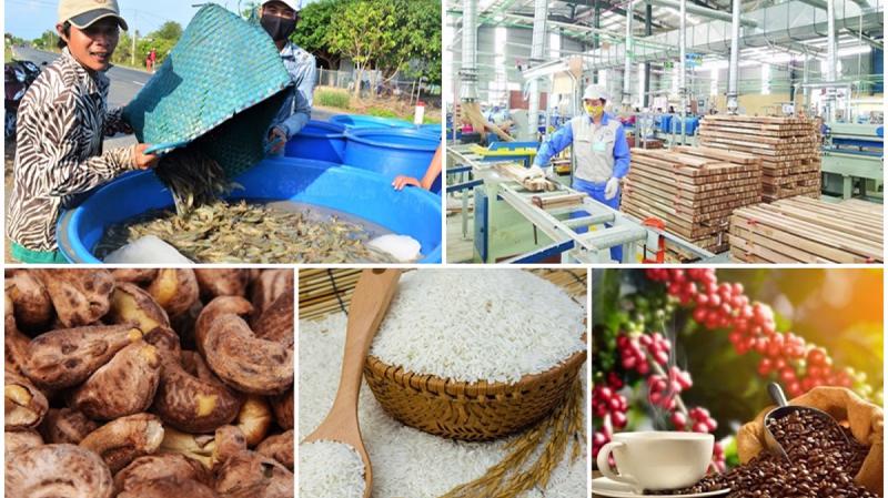Việt Nam phấn đấu trở thành một trong những nước có nền nông nghiệp hàng đầu thế giới vào năm 2050