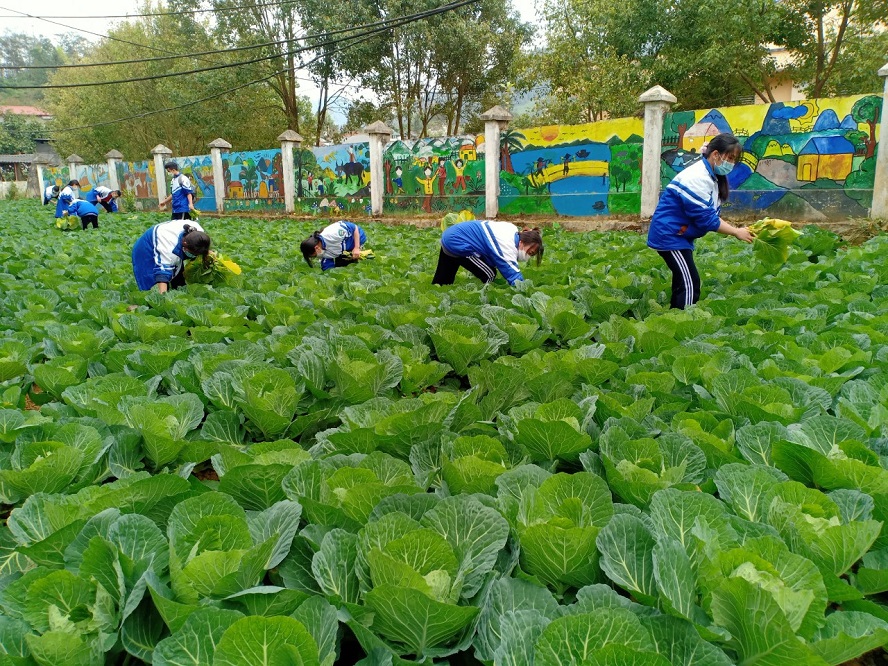Hiệu quả từ những mô hình giáo dục giàu tính thực tiễn