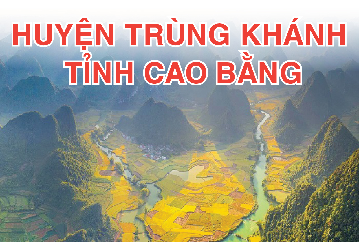 Chào Xuân Nhâm Dần 2022