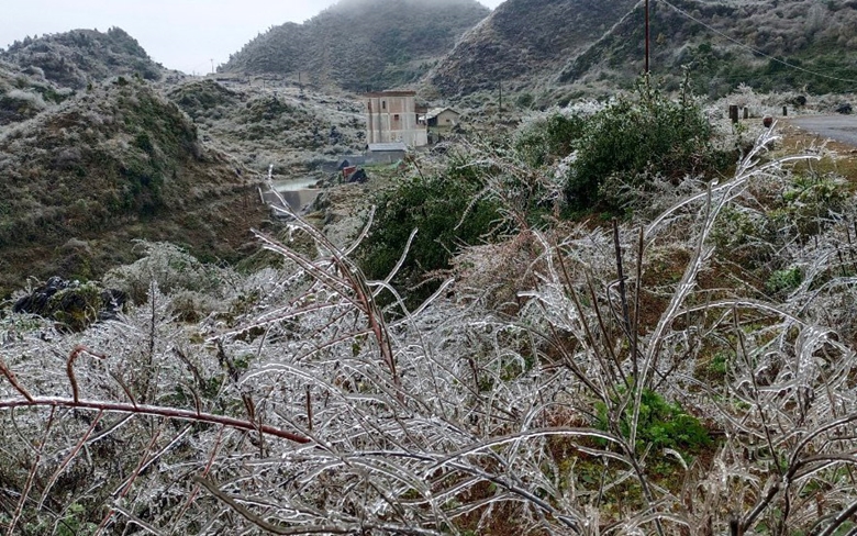 Hà Giang chủ động ứng phó với giá rét