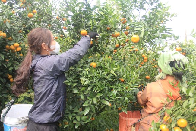 Yên Bái Tận tâm, dốc sức đưa tín dụng chính sách giúp dân xóa nghèo