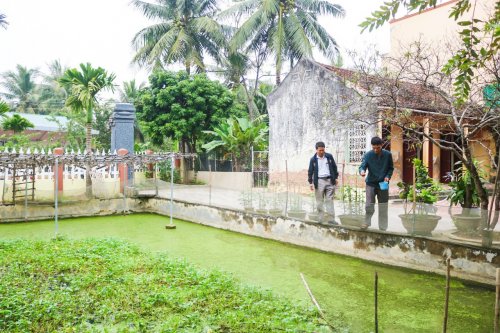 Cựu chiến binh Thanh Hoá thi đua phát triển kinh tế