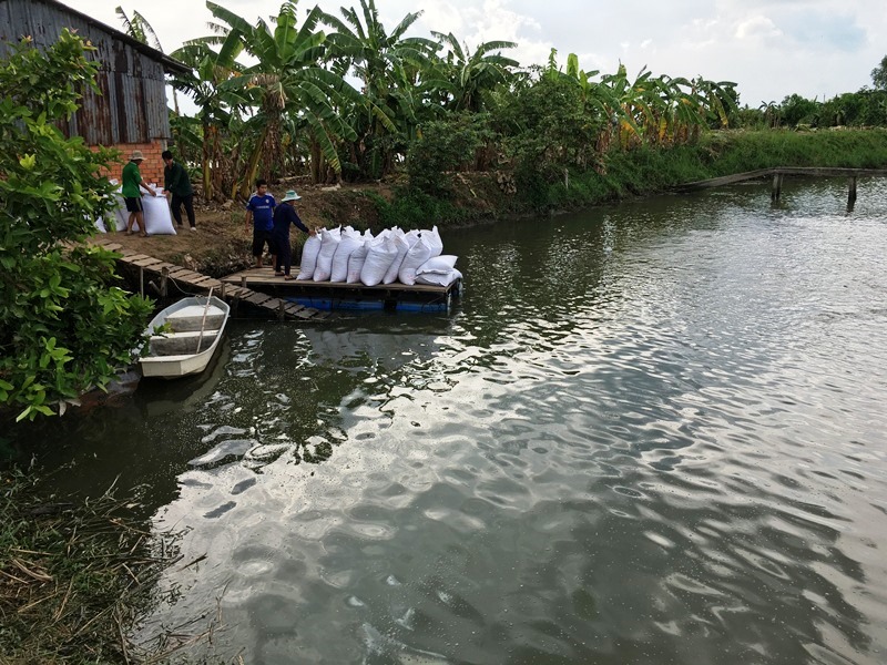 Chủ động triển khai chương trình giám sát dịch bệnh cá tra tại cơ sở