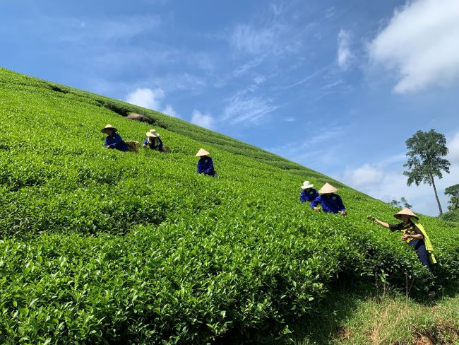 Phú Thọ Khơi dậy khát vọng và quyết tâm thoát nghèo từ tín dụng chính sách