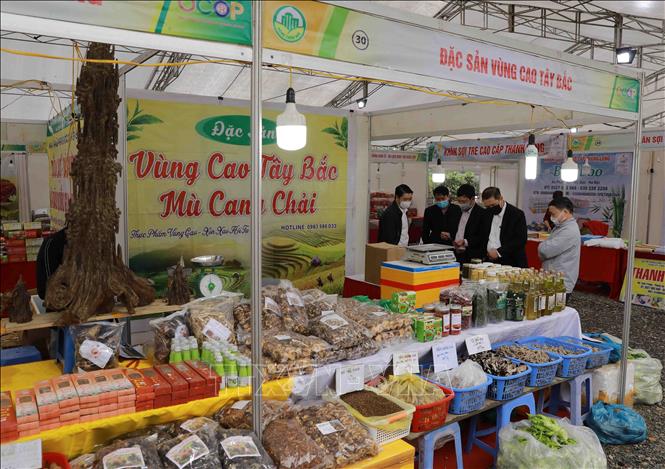 Hội chợ giống vật tư nông nghiệp, nông sản an toàn, OCOP