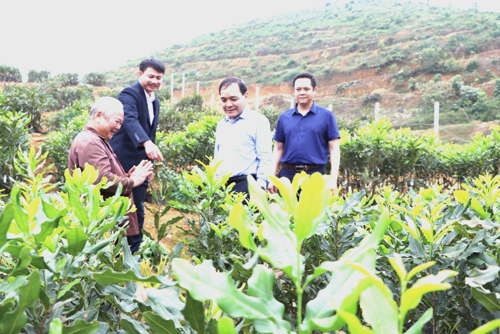 Trấn Yên phát huy truyền thống cách mạng

​