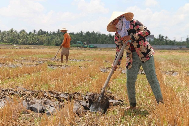Chuyển mục đích sử dụng đất tại Phú Thọ
