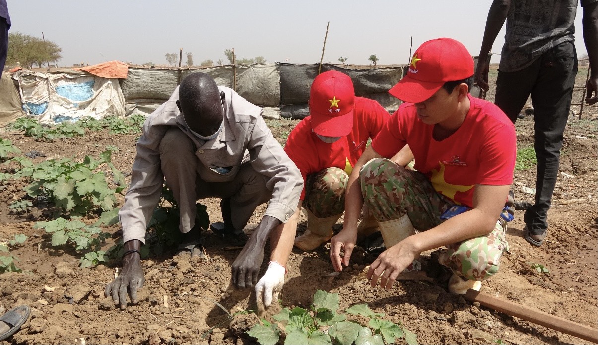 Đoàn viên thanh niên Bệnh viện dã chiến hướng dẫn người dân Nam Sudan trồng rau xanh