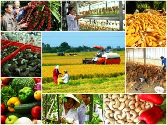 Quý I 2022, ngành nông nghiệp tăng trưởng 2,45