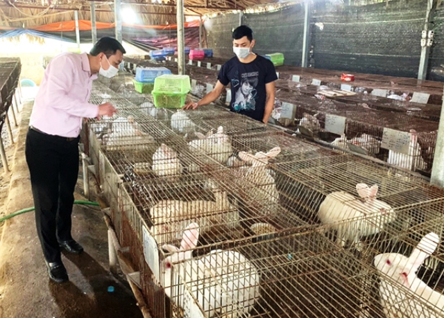 Cẩm Khê Vốn chính sách cùng dân thoát nghèo